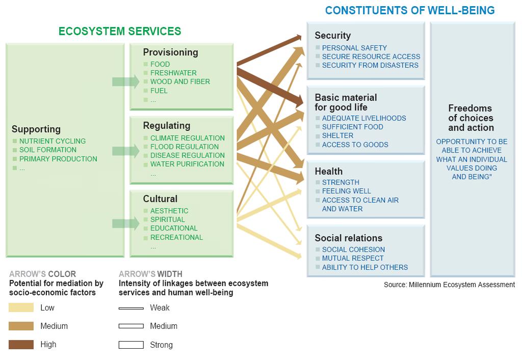 Ecosystem Services (MA framework):