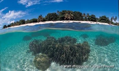 Establishment of a MPA: Tubbataha Reefs, Philippines UNESCO World Heritage site, contains 396 species of corals & has higher species diversity per square meter than the Great Barrier Reef Problem