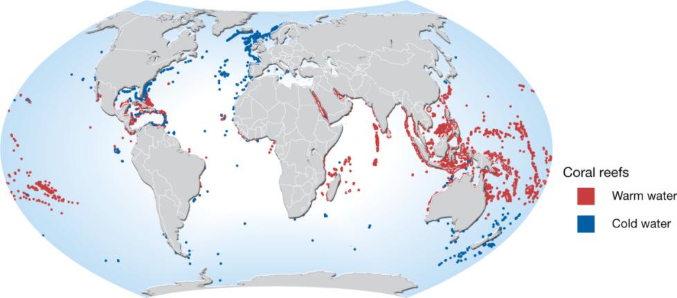 value, over exploitation (World Bank 2008) Coral reefs at risk Source: