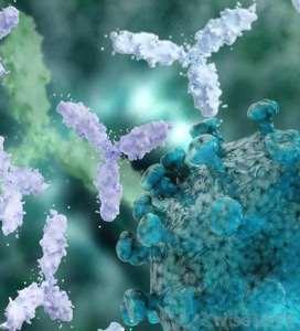 Adaptive Pathogen Recognition Antibodies (products of B cells) Adaptive Immune System Randomly generated (B