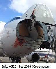 Function, Performance, and other Considerations Bird Strike 23.775 - Windows and windshields. (only*) 25.631 - Bird Strike Damage.