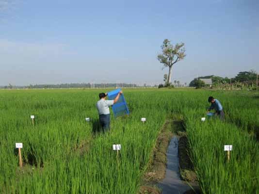 Activities of Methane Measurement at the Yezin Agricultural