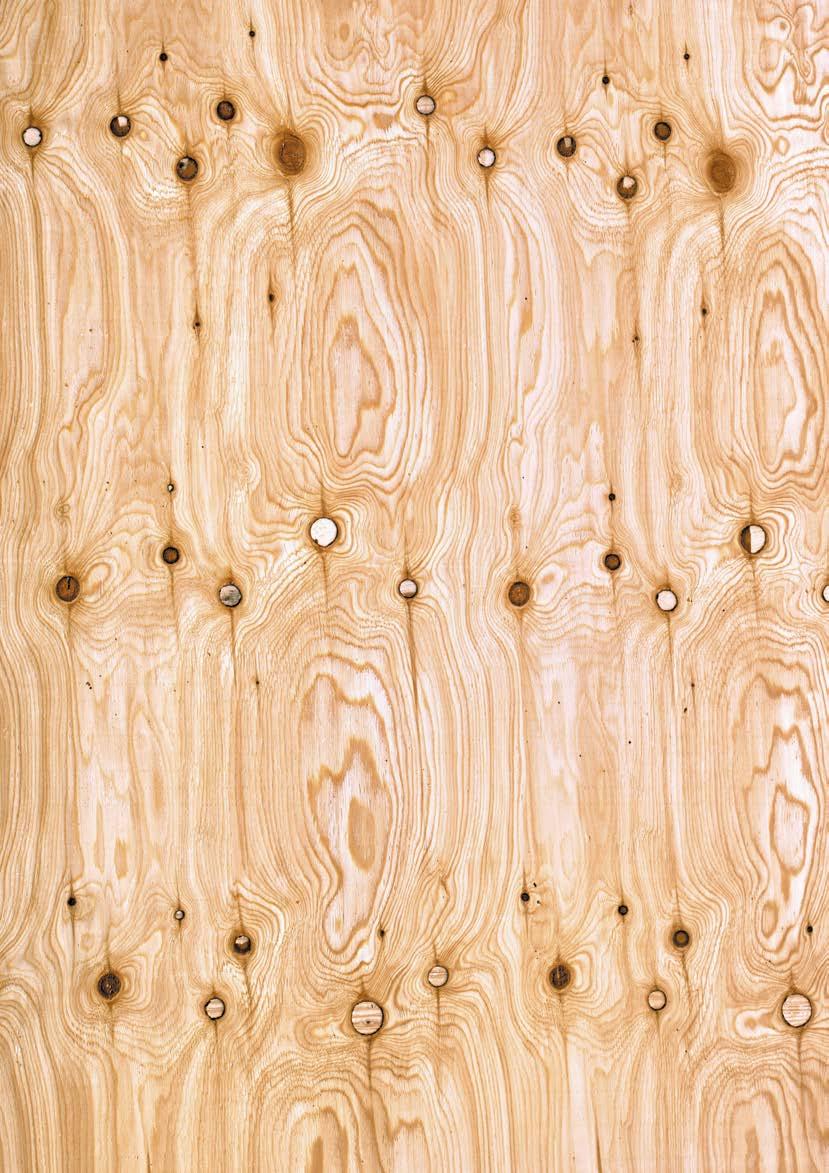 on back layers of plywood Larch veneer