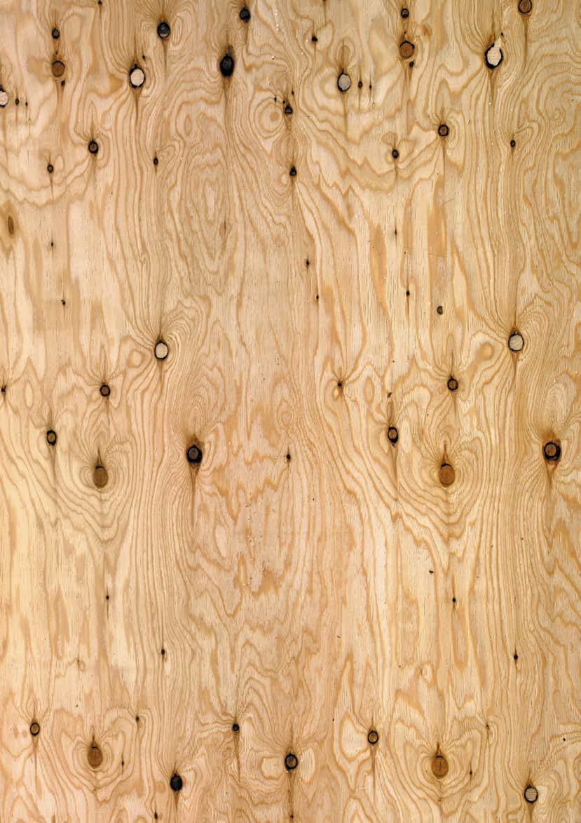 For use in the inner layers of plywood Larch