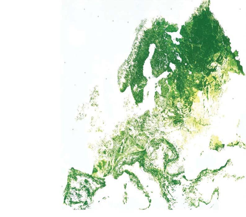 General Forestation Across Europe 1 = 420 Trees per person globally