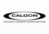 activated carbon in drinking water treatment 1965 Pittsburgh Activated Carbon Company (formerly Pittsburgh Coke and Chemical) is acquired by Calgon Corporation 1991 Calgon Carbon is listed on the New
