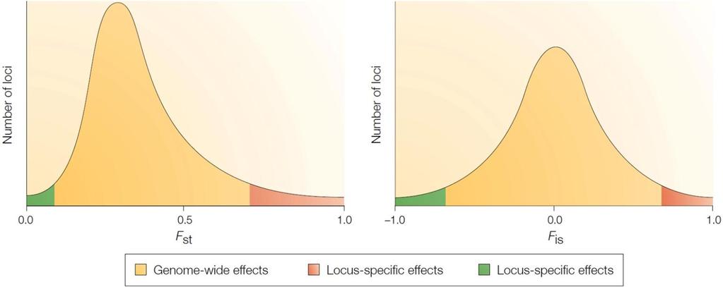 Diversity outliers and locus-specific effects By screening many markers, baseline levels of within (F is ) and among (F st ) population diversity can be established.