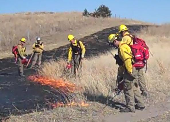 Participant skill levels range from local youth or college students on their first prescribed burns earning their basic firefighter qualifications to people getting the experience needed to qualify