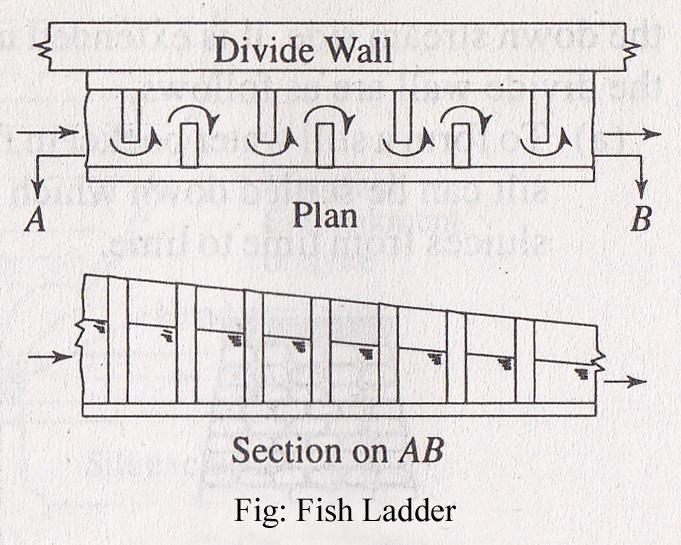 Fish Ladder The fish ladder is provided just by the