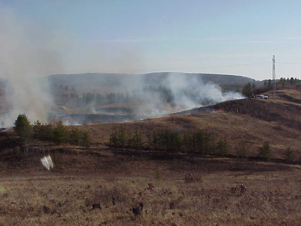 Proposed Action Prescribed Fire Multiple prescribed burns over 15,700 acres over 15