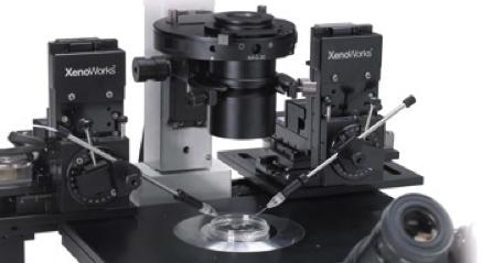 SILVER CLASS EQUIPMENT: VALUED AT $100,000 - $1,000,000 EMBRYONIC STEM CELL $200,000 MICROINJECTION SYSTEM Function and research use: A high-resolution microscope adapted for live cell imaging