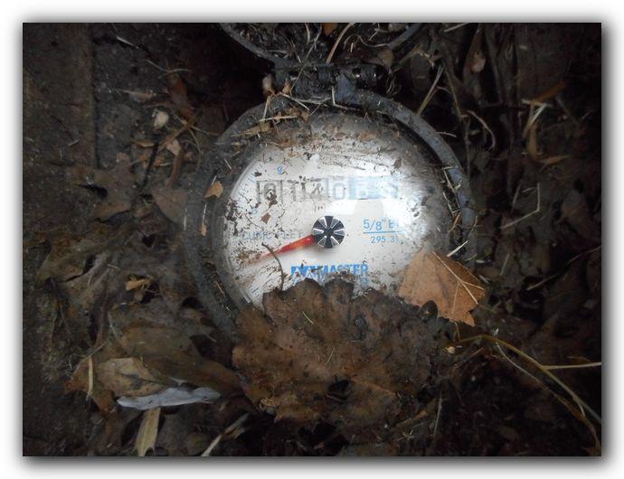 meter: Front of House Near Curb Location of main water supply valve: