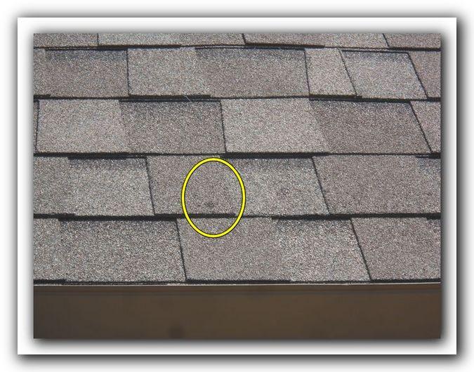 The quantity and concentration of indentations are certainly enough to recommend a roofer be contacted.