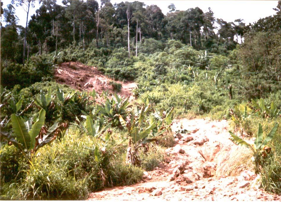 HIGHLY DEGRADED LANDS and EXTENSIVE SOIL EROSION in