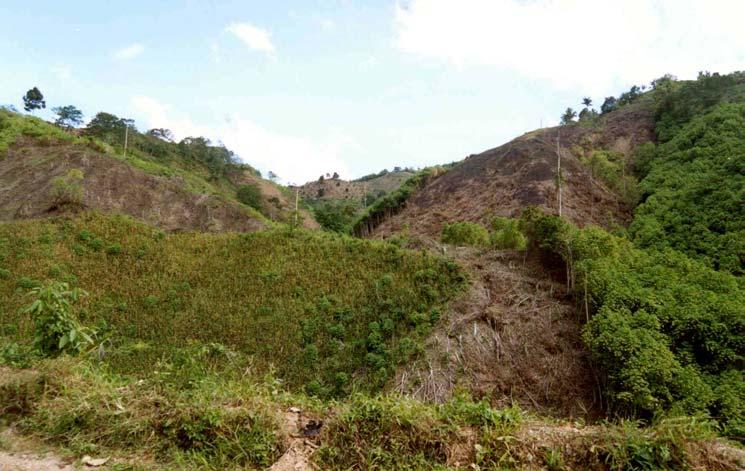 Permanent Agricultural Lands 50 % to 90% of the total area 1.