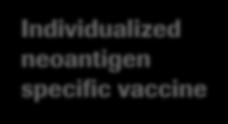 specific vaccine mosunetuzumab