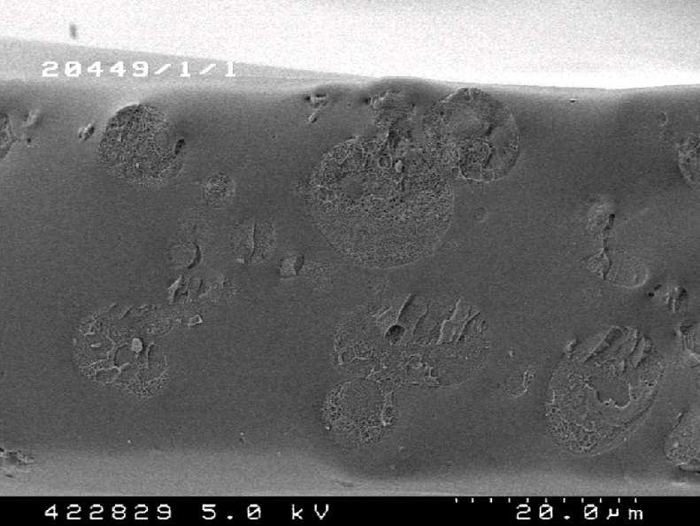 Figure 3a shows the microscope picture of the material; the dimer based polyester can be seen as large droplets of about 4 µm diameter.