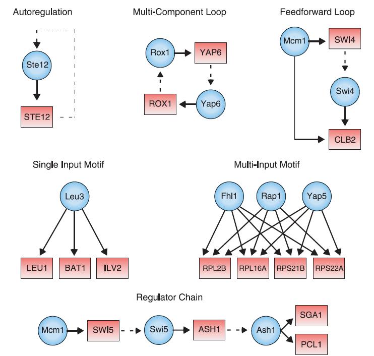 Topic VI: Regulatory Network Inference from Gene