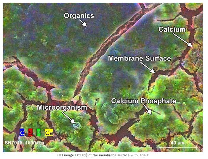 Membrane Autopsy Findings Nanofiltration Most foulants were organic Inorganic foulants