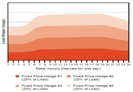 Pricing Options Fixed Price Set all in price for all units (Mcf, kwh) consumed.