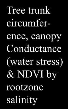 Conductance (mmol H2O/m^2/sec) NDVI Tree Circumference (inches) Trunk Circumference (inches) 30 Tree Circumference 12/4/14 by Rootzone ECe to 5' 35 Trunk Circumference 12/09-11/2015 25 20 y = -0.