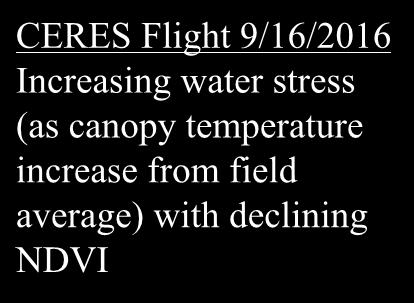Flight 9/16/2016 Measured decrease in tree NDVI (normalized