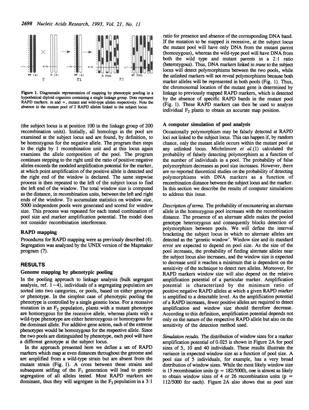 2698 Nucleic Acids Research, 1993, Vol. 21, No. 11 X t / - H (1) IT ff) Et F2 Figure 1.