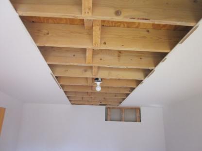 Ceilings Condition: Professional Consultation Type: Drywall -There are cracks or loose sections in the ceiling. -There is evidence of water damage to the ceiling.