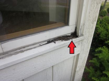 Exterior Windows Condition: Professional Consultation -There are defects in the windows that could cause water damage. -There are gaps or openings around the window(s) that need to be caulked.