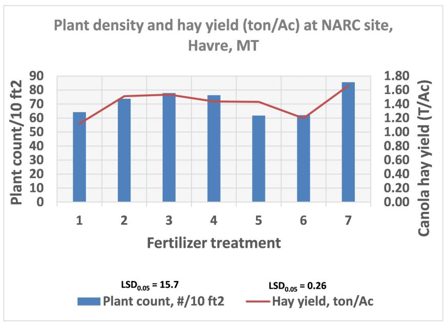 Figure 3. Hay yield (dry weight) response of biennial winter canola to fertility treatments.