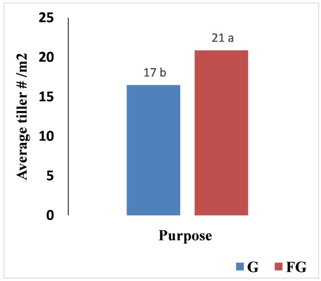 Figure 5. Tillering response of biennial winter canola to fall grazing. G = Grain only; FG = Forage + Grain.