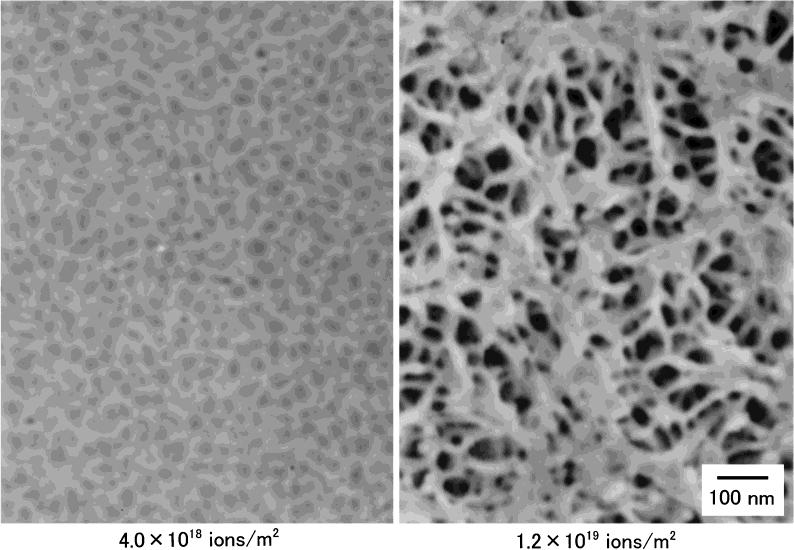 Formation of Anomalous Defect Structure on GaSb Surface by Low Temperature Sn Ion-Implantation 677 Fig. 3 FE-SEM images of GaSb surface implanted with 60 kev Sn +.