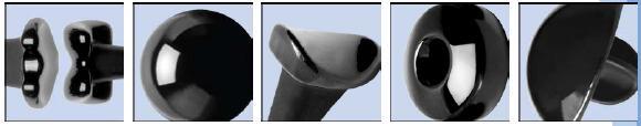 Ascension PIP arthroplasty MCP Arthroplasty Wrist arthroplasty/fusion TTC nail Total Foot