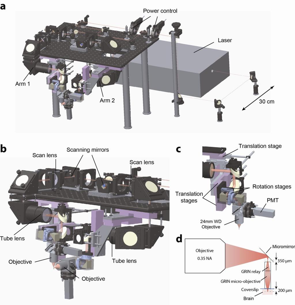 Supplementary Figure 1 Comprehensive opto-mechanical design of the dual-axis microscope.
