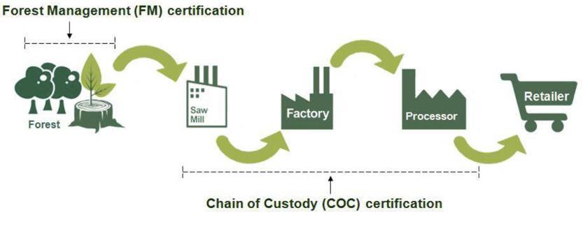 occurs at the forest level Chain of Custody, which ensures traceability of the raw material through the supply chain and back to the forest Forest Management certifies the forest area and Chain of