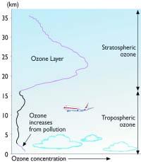 The ozone layer absorbs UV from the sun, protecting life on earth from exposure to excessive levels of UV. Ozone depletion may thus lead to increases in UV levels at the earth's surface.