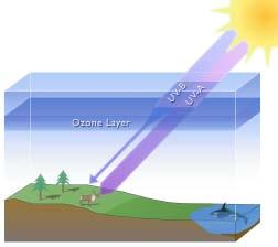 UV Protection by Ozone Layer Factors Determining UV at the Surface Ozone levels directly influence the amount of UV reaching the earth's surface.