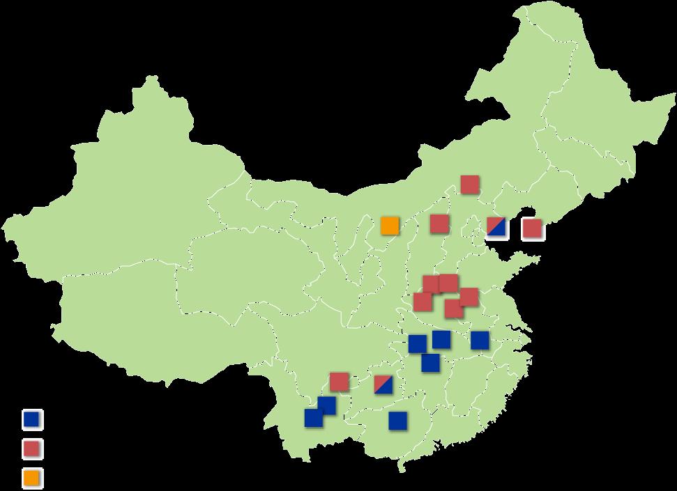 SHELL COAL GASIFICATION PROCESS PROJECTS IN CHINA 21 GASIFIERS IN OPERATION 6 STILL TO