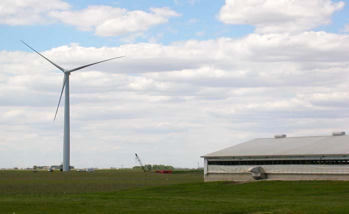Wind Turbines at Farms Farmer-owned 65 kw wind turbine in Southeast Iowa used for hog CAFOs Farmer-owned 1500 kw wind turbine by Armstrong, Iowa Wind turbines can be