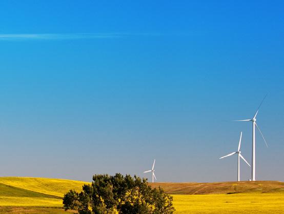 Canada s wind energy industry has Attracted more than $23 billion in investment Created over 58,000 person-years of employment in construction and operations Directly benefited more than 299
