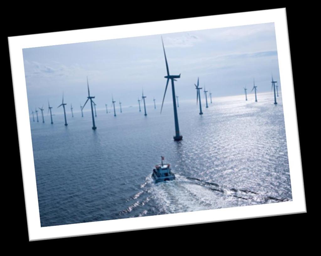 Offshore Wind Expert: EXPERIENCE FROM A