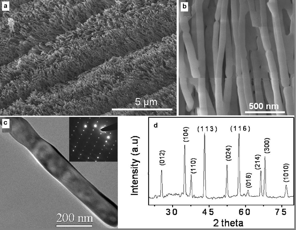 Polycarbonate membranes with a pore diameter of 220 nm were soaked in 22 ml of 0 5 M aqueous solution of glucose in a 25 ml Teflon-lined autoclave.