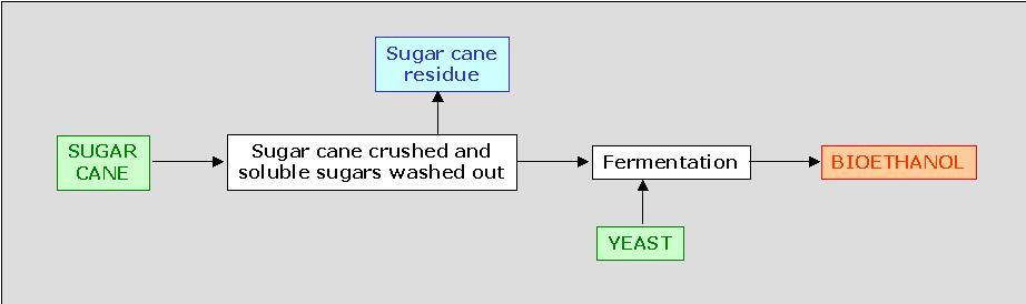 Sugar cane Source : sajeewa.