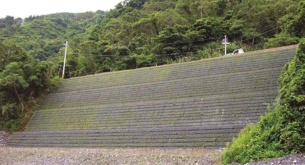 AUSTRALIAN COMPANY // GLOBAL EXPERTISE WOVEN POLYESTER HIGH PERFORMANCE GEOGRID ACEGrid the proven choice for: LONG TERM SOIL REINFORCEMENT IN APPLICATIONS OF STEEPENED REINFORCED SLOPES RETAINING