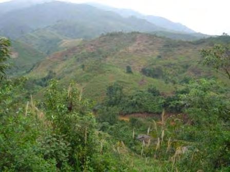 Rung Vang: project area Propose Project Activity North-Central Vietnam / Thua Thien Hue province Forest land is allocated to local households (LUPLA) Total project area: 4000 ha 80% People belong to