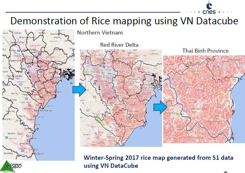 24 Rice monitoring