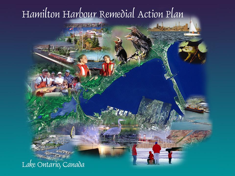 A Systematic Approach to Restoring Native Species John D. Hall, Hamilton Harbour RAP Coordinator with input from G.