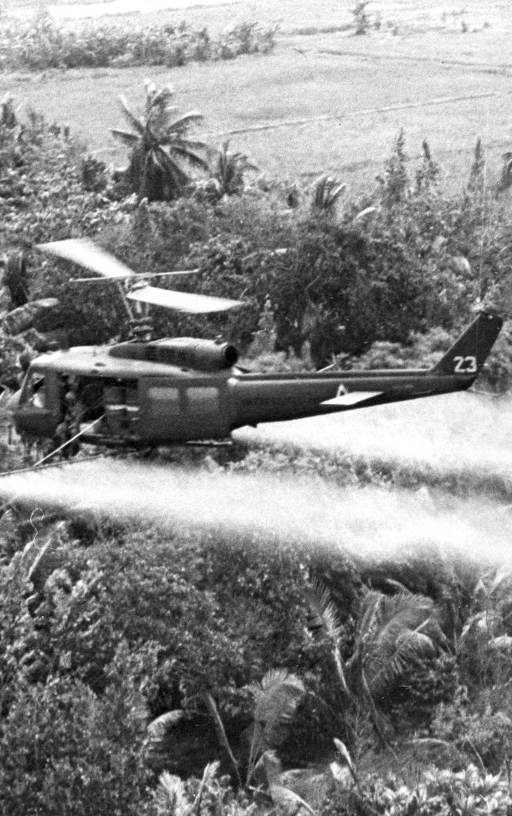 General Recommendations (2) Areas aerially sprayed with Agent Orange during the war are not contaminated with high levels of dioxin today.