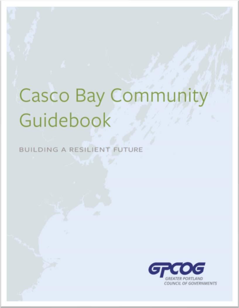 GUIDEBOOK Vision Create a targeted and digestible report for local governments to learn from one another