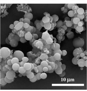 Feasible use of hydrochar II Highly functional carbon material as soil amendment for carbon storage Small clusters of microspheres are found in
